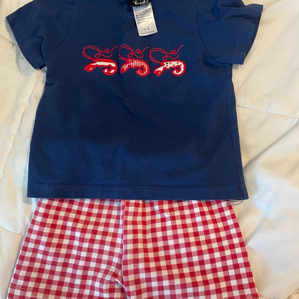 Blue crawfish 🦞 T-Shirt and Red Checkered Shorts Set